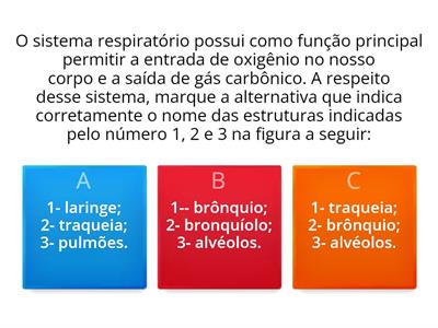 Sistema respiratorio 