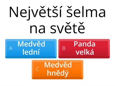 Medvědovité šelmy (Dan Horváth)