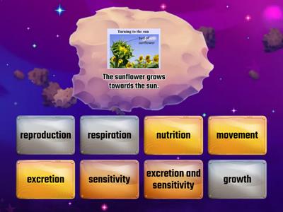 S1 IS U3.1 living things and non living things