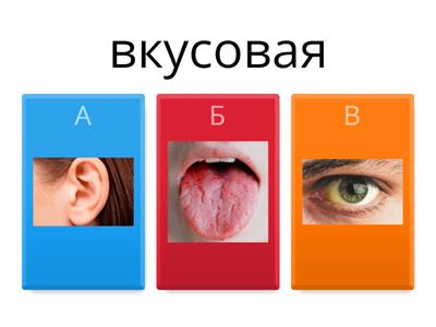 Память