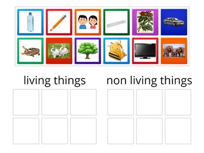 4a science（living things&non living things）