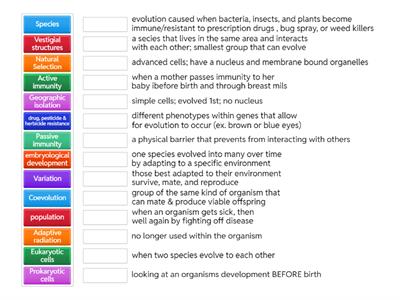 Evolution Vocabulary