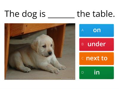 Prepositions of Place (in, on, under, next to)