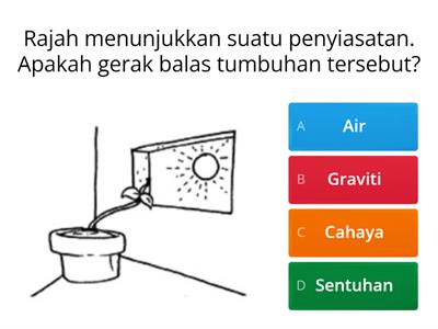 Gerak Balas Tumbuhan