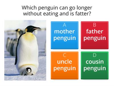Journeys Lesson 21 Penguin Chick Comprehension