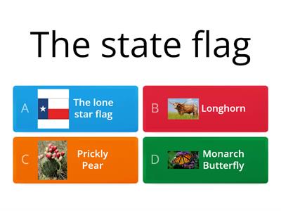 Texas symbols 