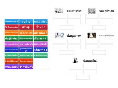 ประเภทของข้อมูล