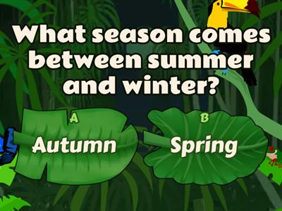 Seasons quiz