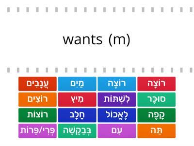 Let's Talk Modern Hebrew for Teens Chapter 4