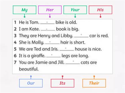 Possessive adjectives 2