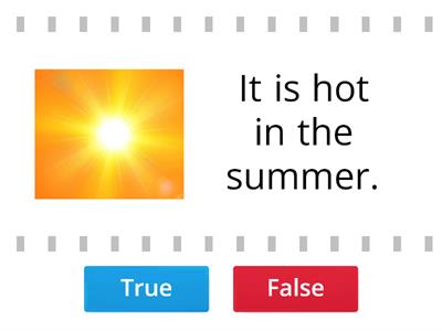 Summer: True or False