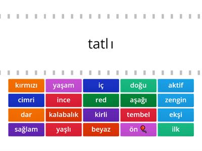 türkçe dersi 5. sınıf   eş anlamlılar zıt anlamlılar -irem
