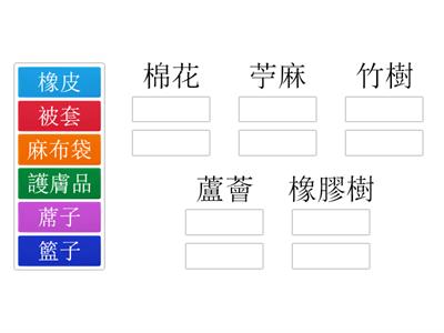 3B 三年級常識：第2冊第4課《植物與生活》(植物製成的生活用品)