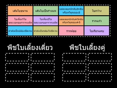 วิทย์ ป4 พืช ตอนที่13