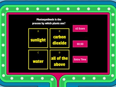 Photosynthesis Quiz