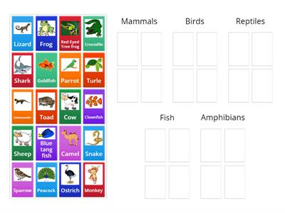 Classification of Animals (fish, amphibians, reptiles, birds and mammals)