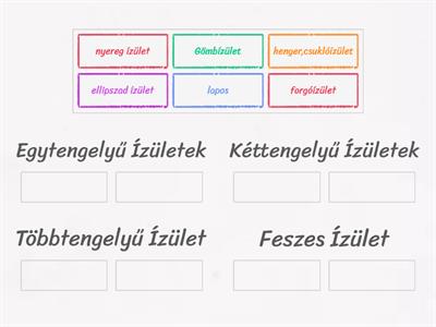 Anatómia--Ízületek csoportosítása