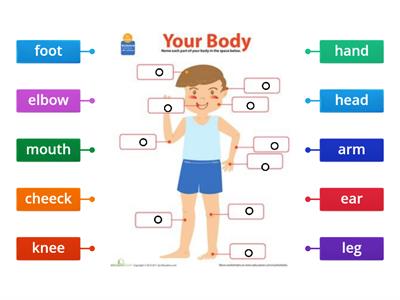 Parts of body 