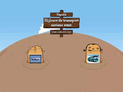 MIJLOACE DE TRANSPORT