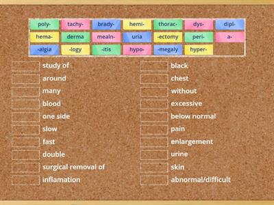 Medical Terminology