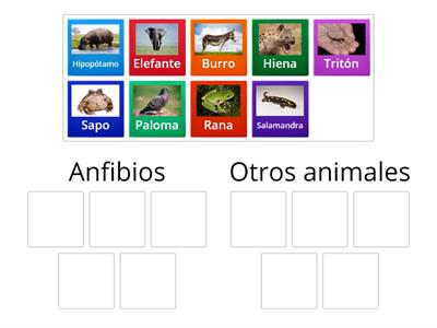 ¿Cuáles son anfibios?