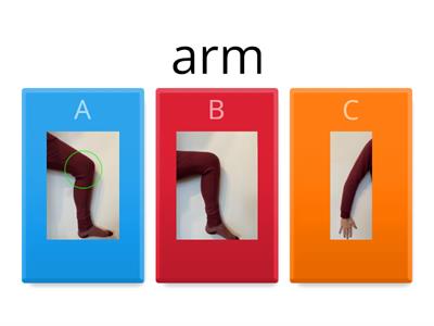 Body Parts Quiz