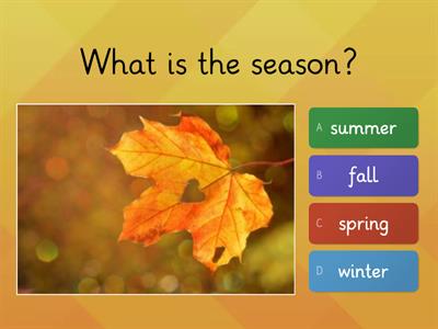 Seasons - Quiz