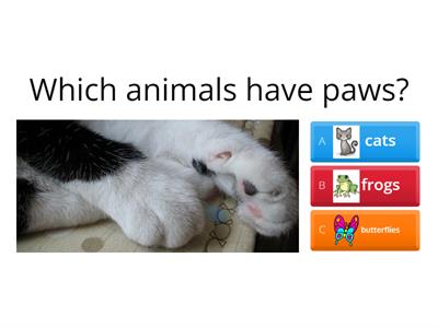 Which animals have xxx?
