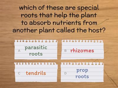 getting to know plants 