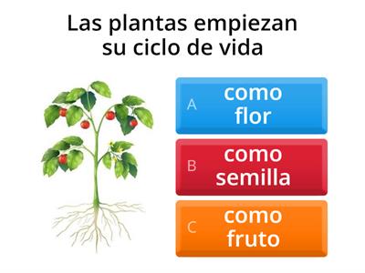 CIENCIA 1° CUESTIONARIO