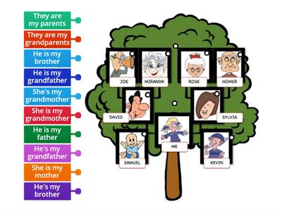 Basic 1 - family tree review