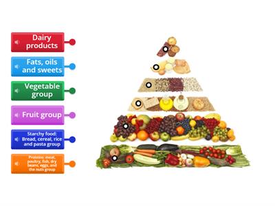 Food Pyramid (categories)