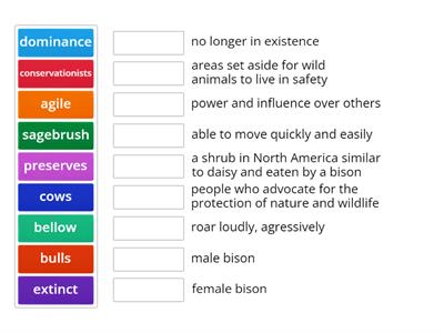 Target Vocabulary about American Bison