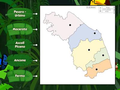 Marche province