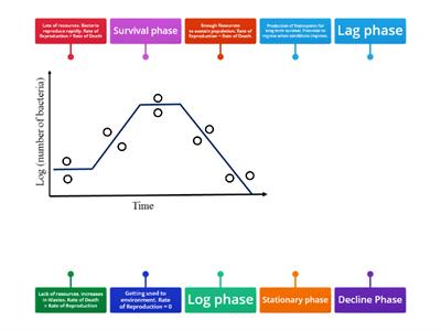 Bacteria growth curve