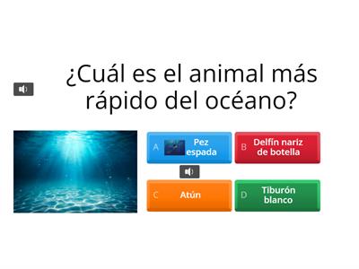 Cuestionario sobre los Animales