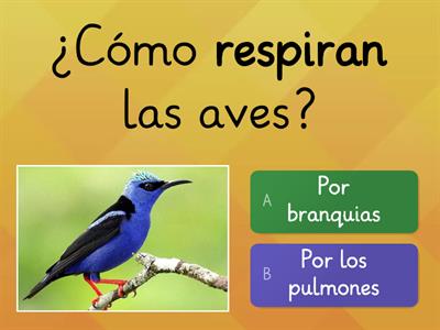 Las Aves