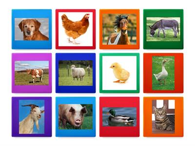 Farm Animals