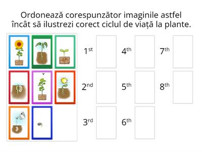 Ciclul de viață la plante