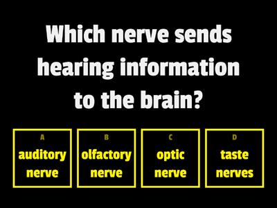 Sense organs and the nervous system