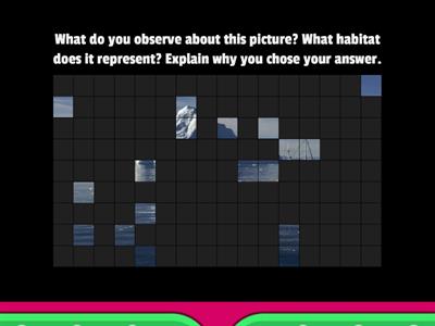 Visual Puzzles - Habitats