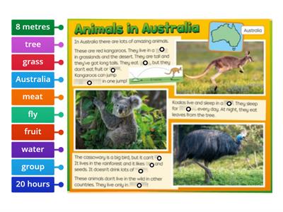 Bright Ideas 2 Animals in Australia