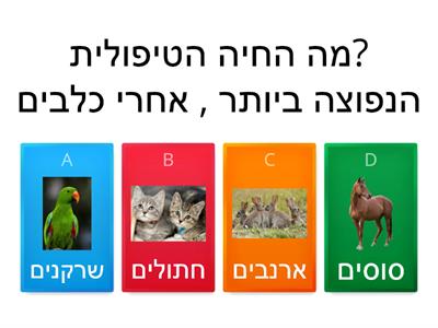 תרפיה בעזרת בעליי חיים