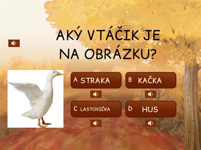 AKÝ VTÁČIK JE NA OBRÁZKU?