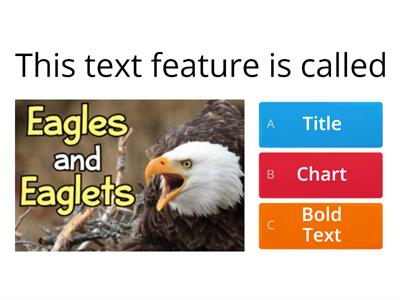 Eagles and Eaglets