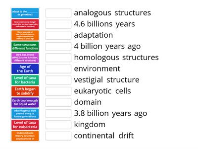 Taxonomy and Evolution Remediation Game