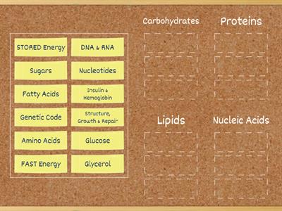 Biomolecules Sorting