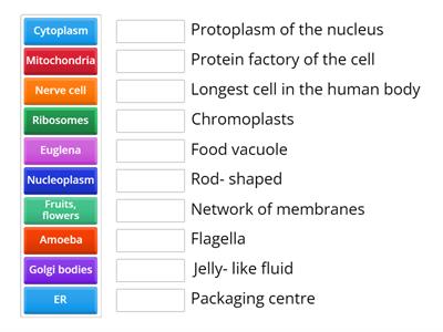 The Cell-Its Structure and Functions