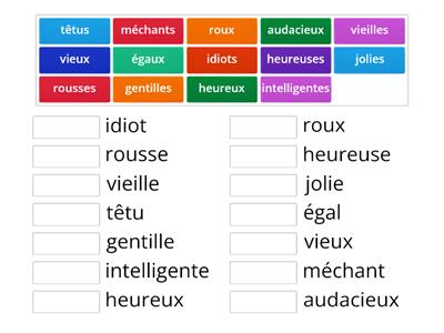  GC 3  D bis Pluriel des adjectifs