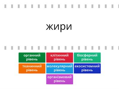 Рівні організації живого